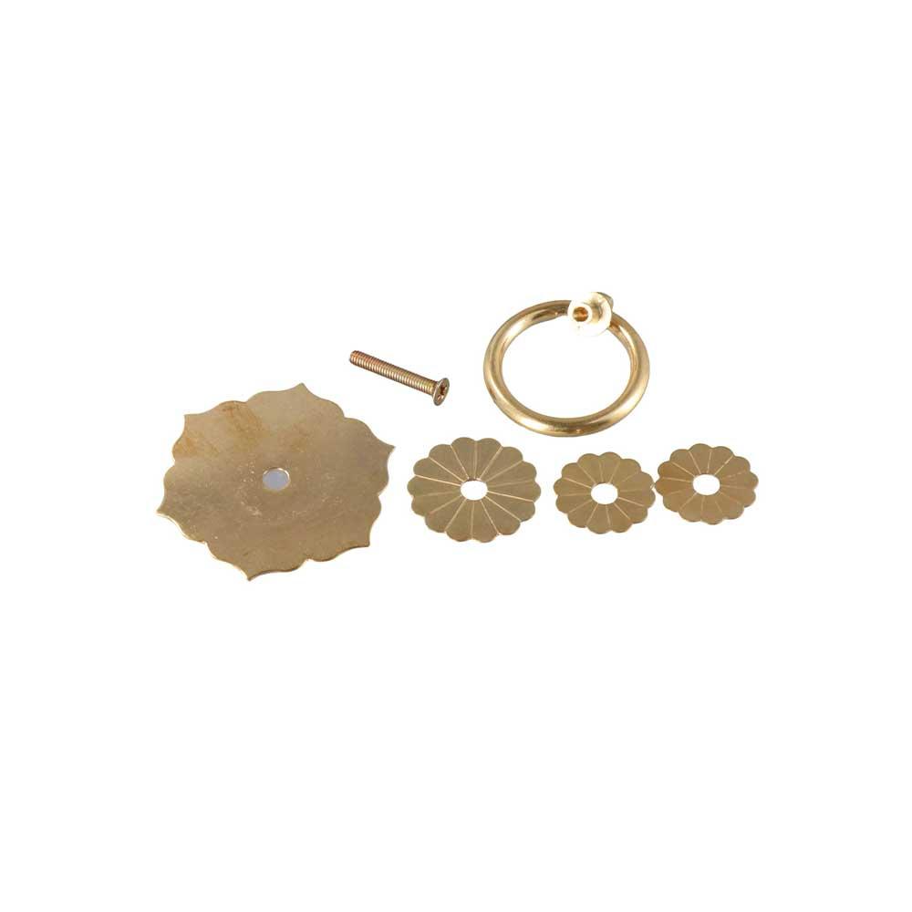 مقابض وأزرار للأدراج والأبواب  - مراجعة Furniture Hardware With Backplate وسعره