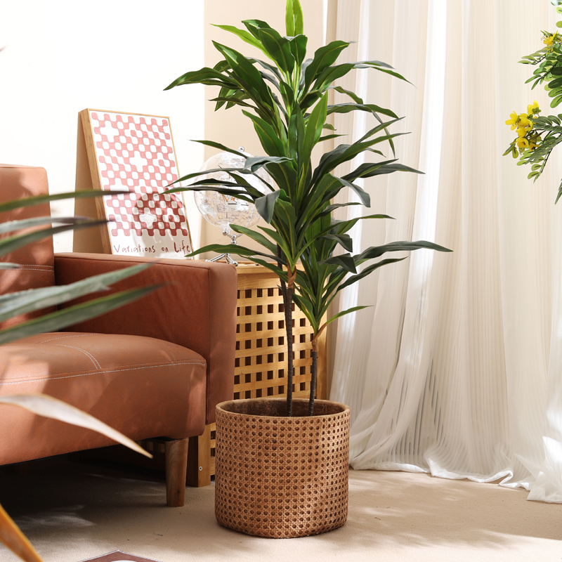 أثاث للشقق الصغيرة، أصيص زهور  - مراجعة Furniture Paradise & Hardware Ghaziabad Reviews وسعره