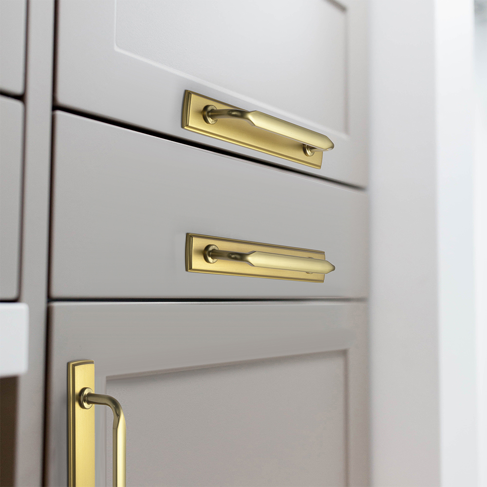 مقبض خزانة من سبائك الزنك الذه - مراجعة Furniture Hardware With Backplate وسعره